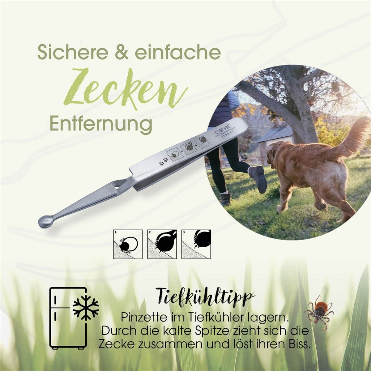 Zeckenpinzette für Tiere, rostfrei