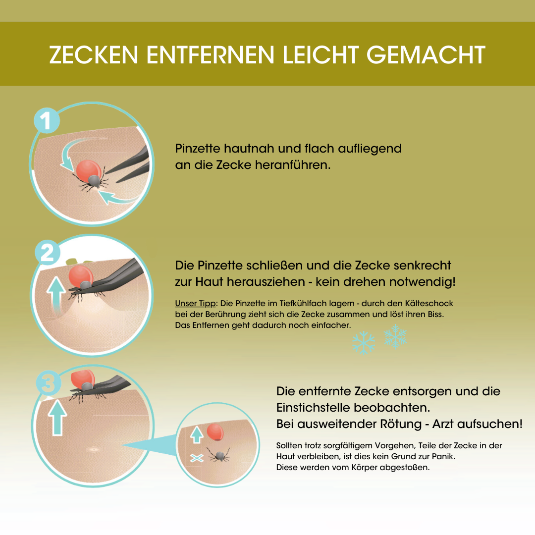 Zeckenpinzette, rostfrei