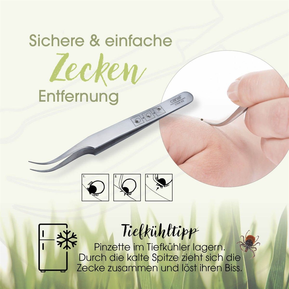 Zeckenpinzette, rostfrei