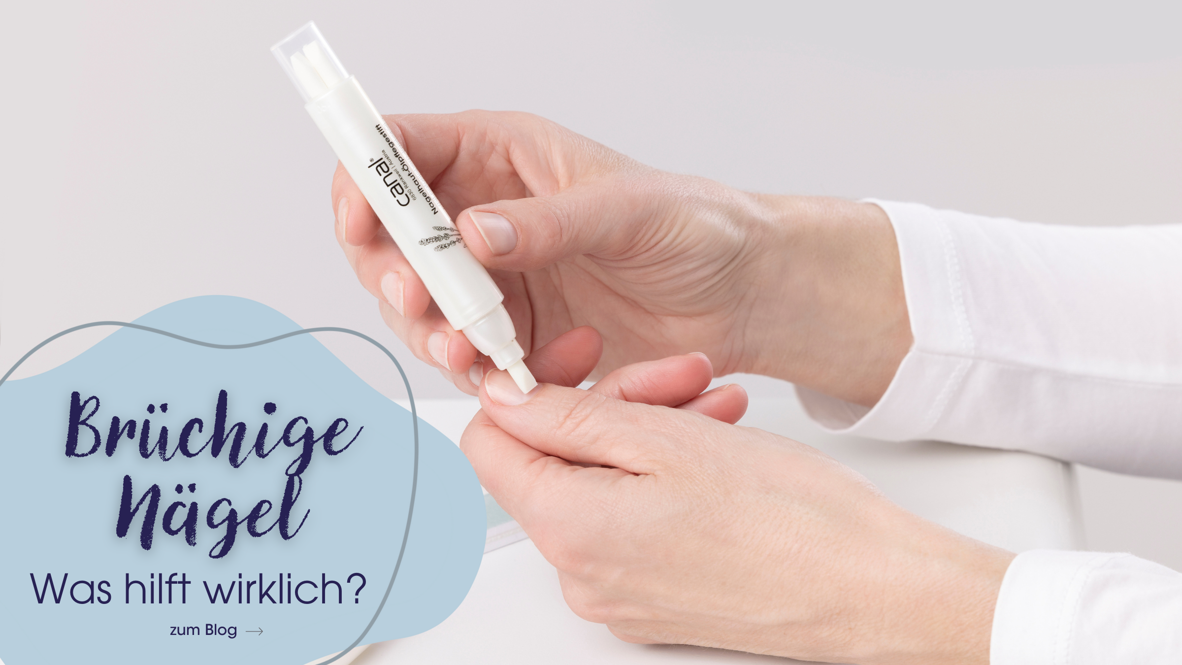 NEU Homepagebanner 2400x1350(5)_(3)