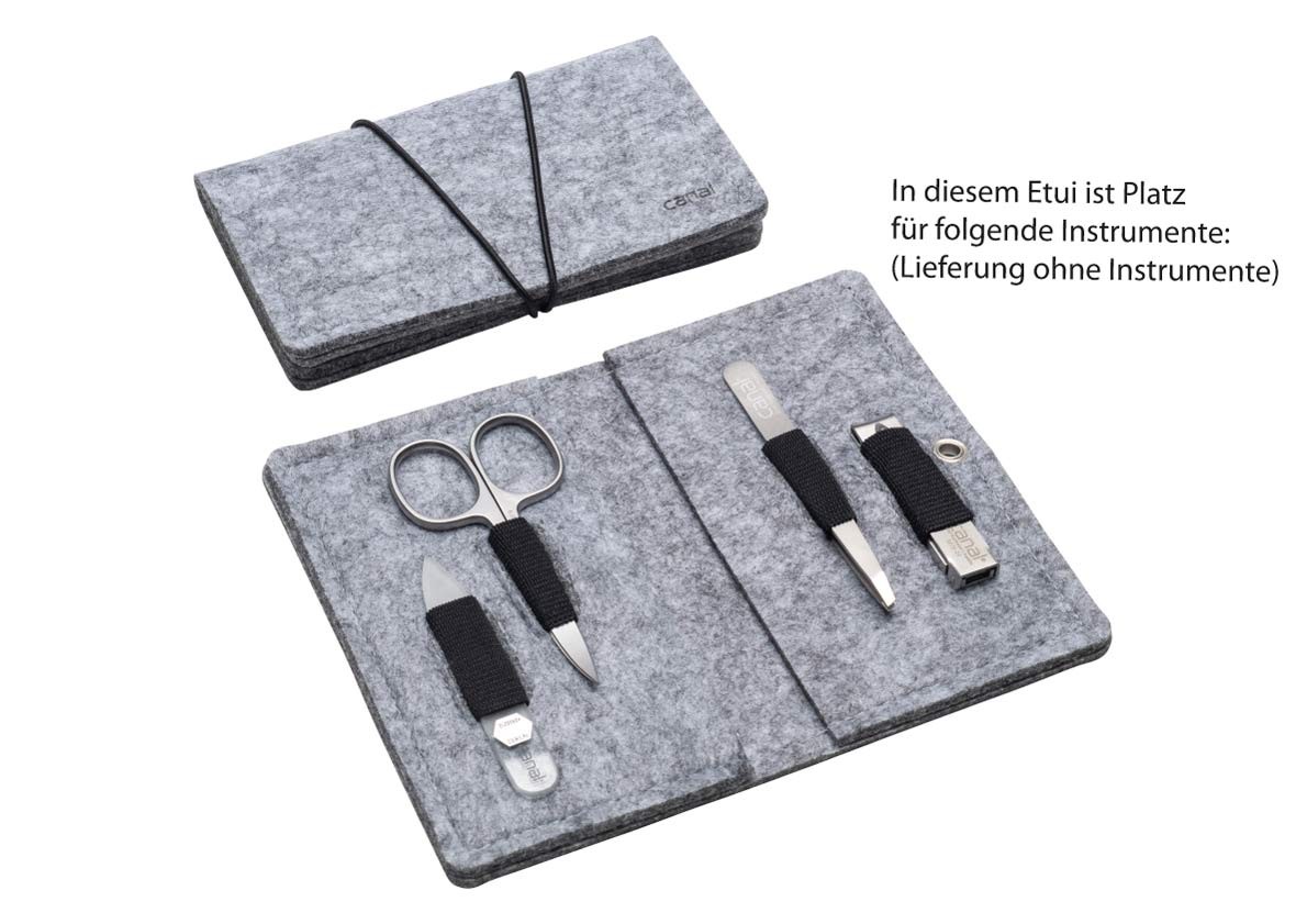 manicure case out of felt, empty manicure case out of felt, empty