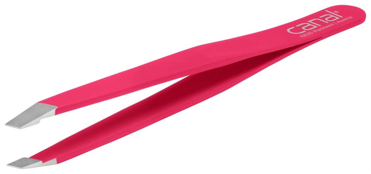 Fuchsia Fuchsia