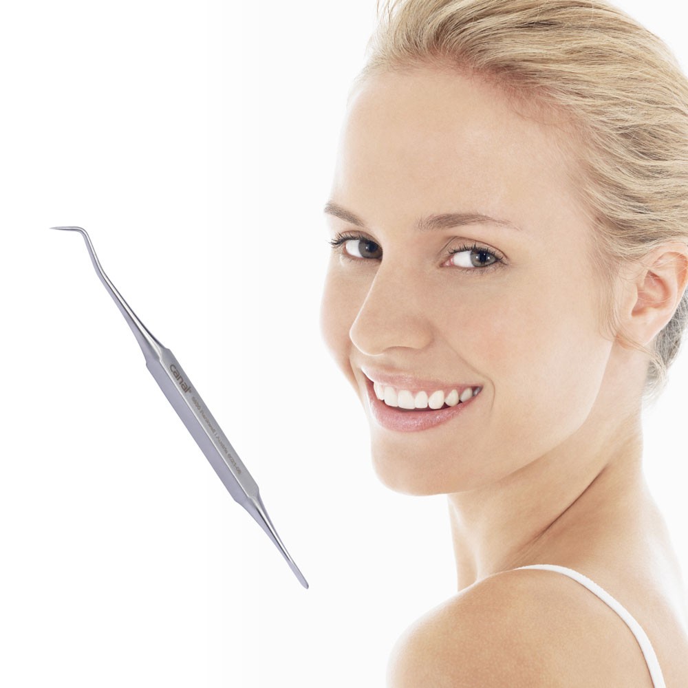 Cure-dents inoxydable Cure-dents inoxydable