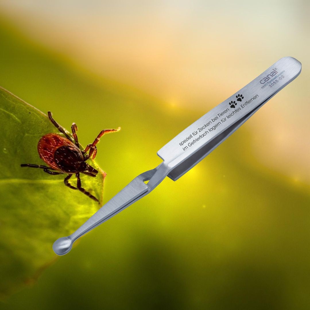 tick tweezers for animals stainless tick tweezers for animals stainless
